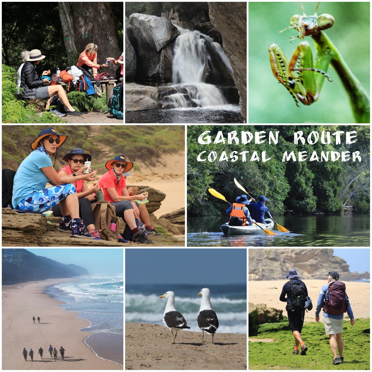 Garden Route Trail tweet media