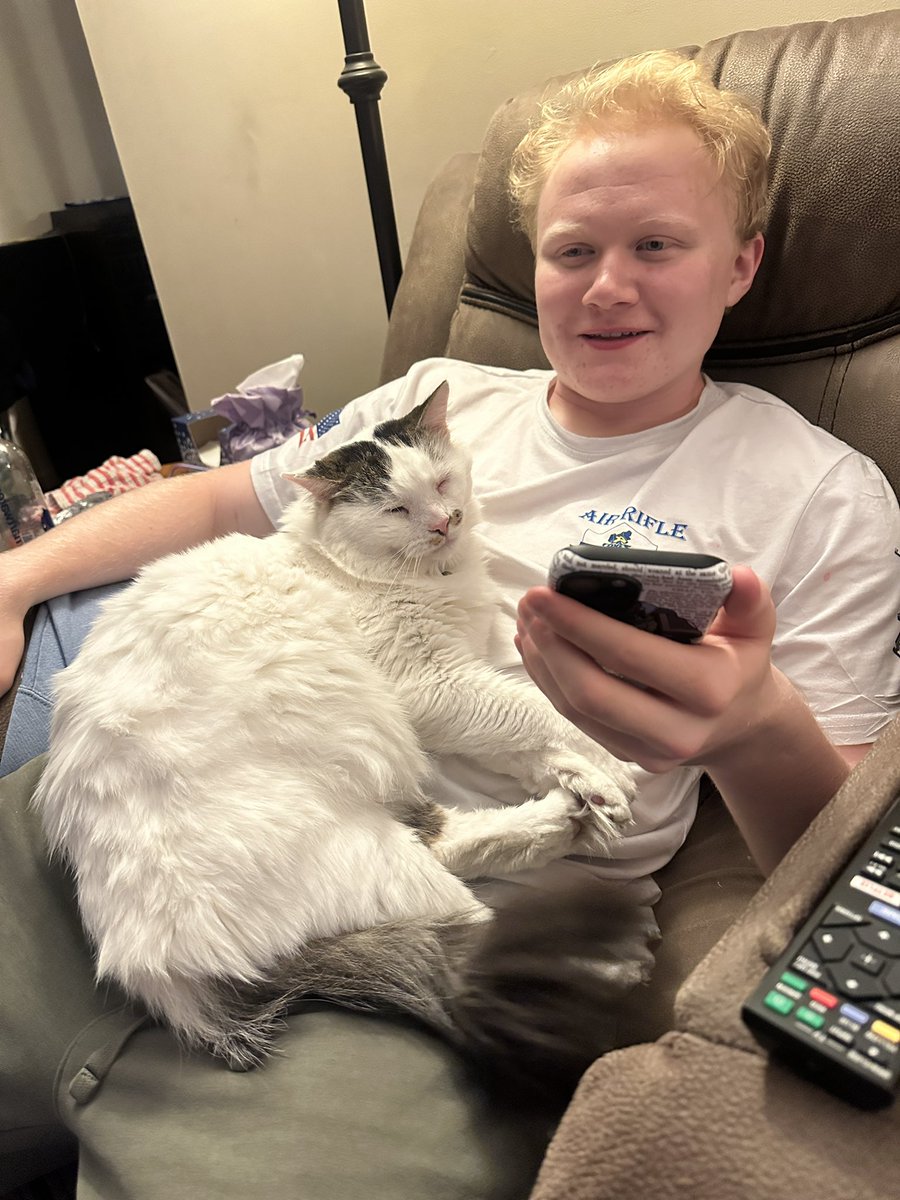 CrittersofH's tweet photo. Been awhile since we’ve posted.. AIB Buzz and Fluffster just hanging out 
  @DinahLewisTayl1 #CatsOfTwitter #Caturday #meow #purr #ittybittybuzz #adoptdontshop #lapcat #whiskerswednesday #kittens #catnap #buzz #KittenLove https://t.co/Hn5Fi0AZgg