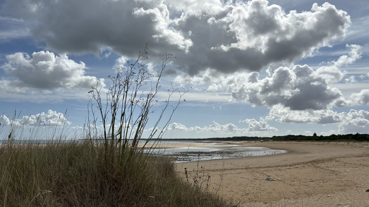 Petite balade sur la plage du Douhet 🥰
#vacances #bonheur #voyage #IleDOleron #plage