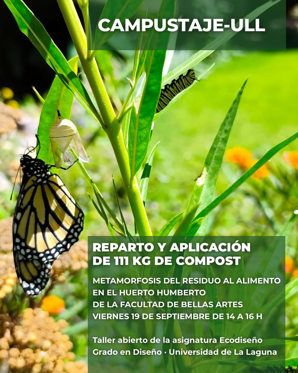 Campustaje.ULL tweet media