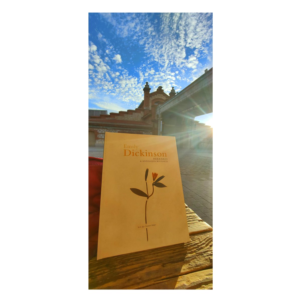 Mercedes Oriol Vico tweet media