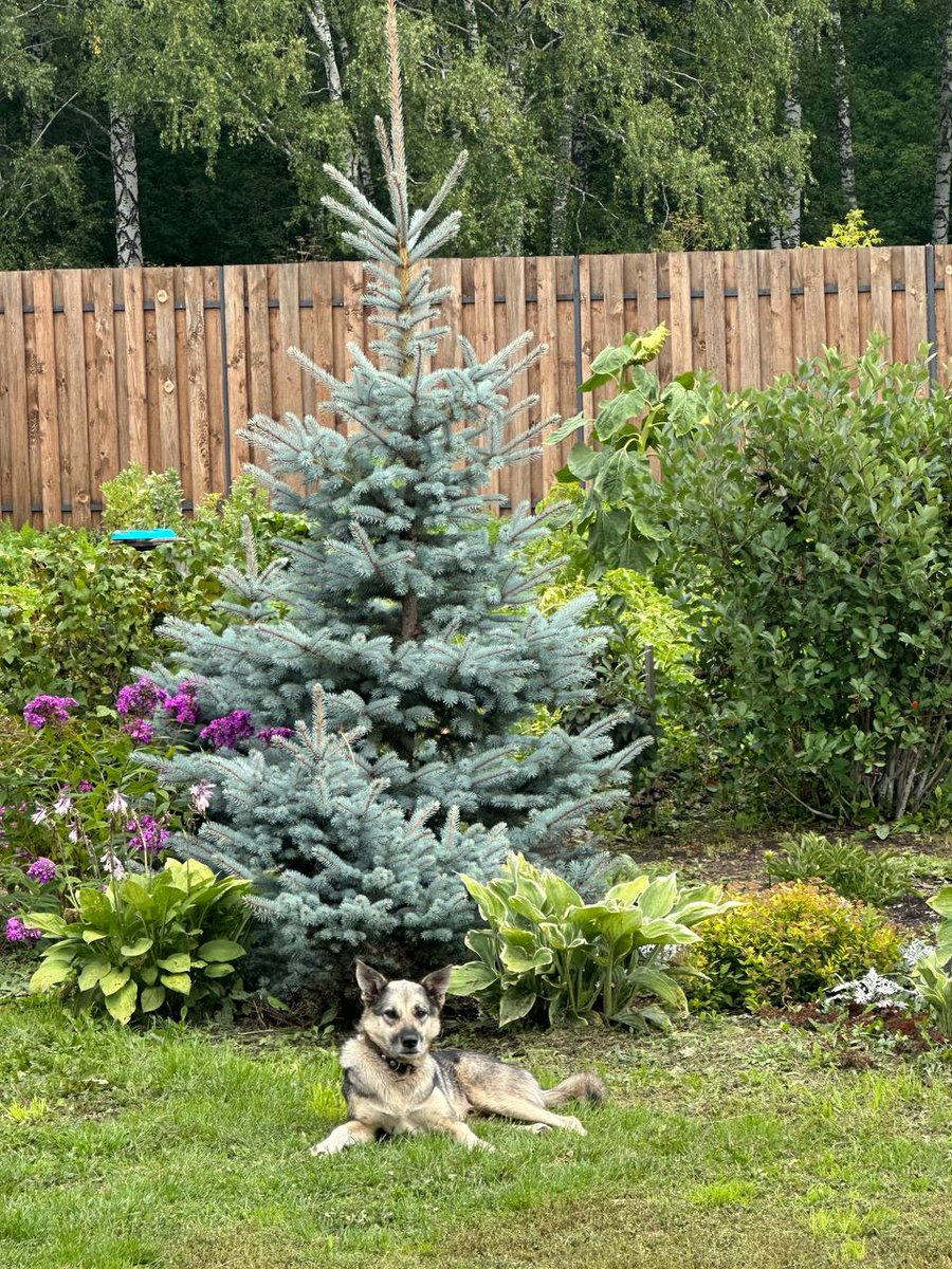 My dog Dick and I are ready to relax and touch the grass #openseatouchgrass