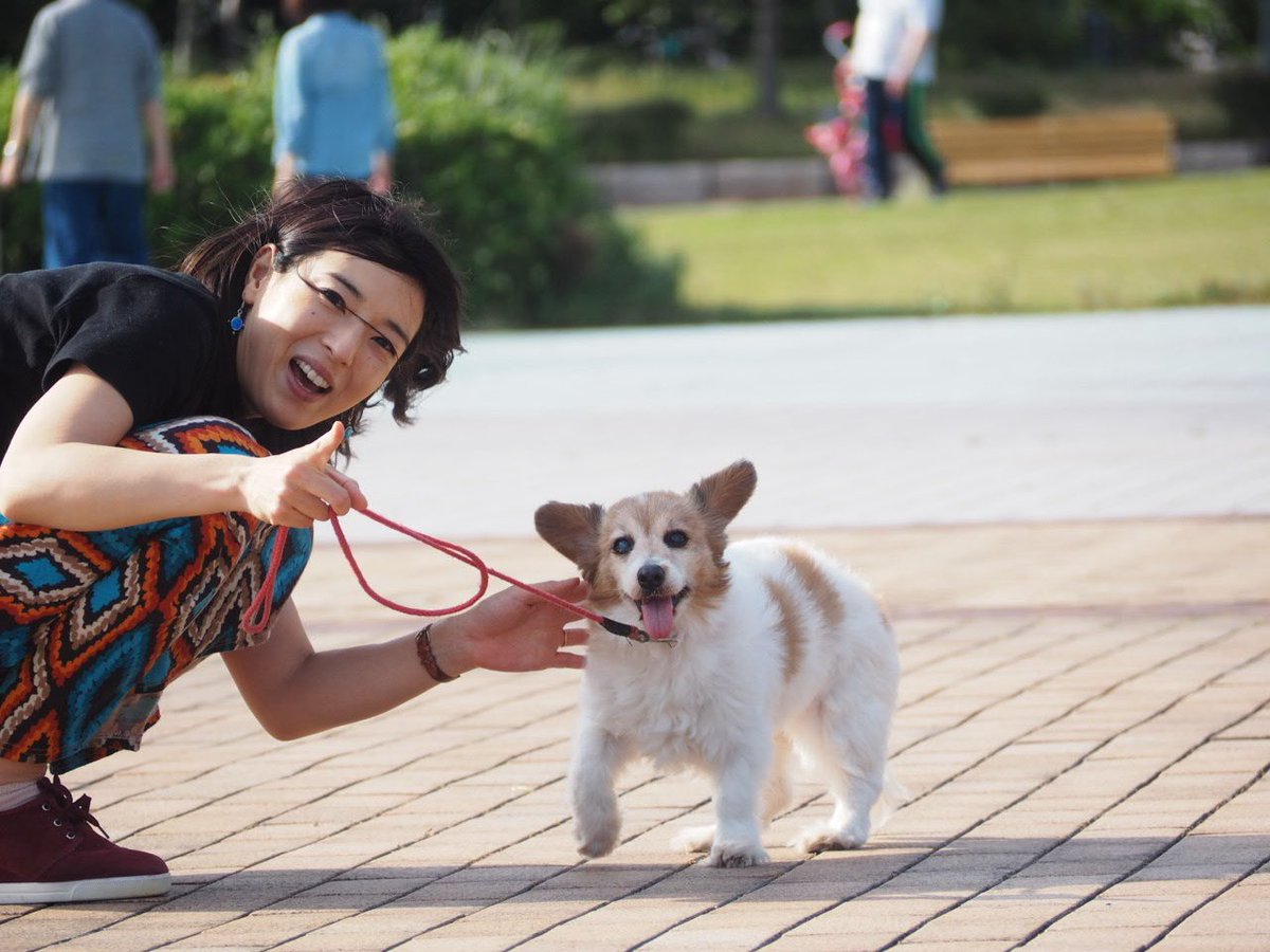 ひめたそ 17歳ミックス犬 (@hime1207taso) / Posts / X