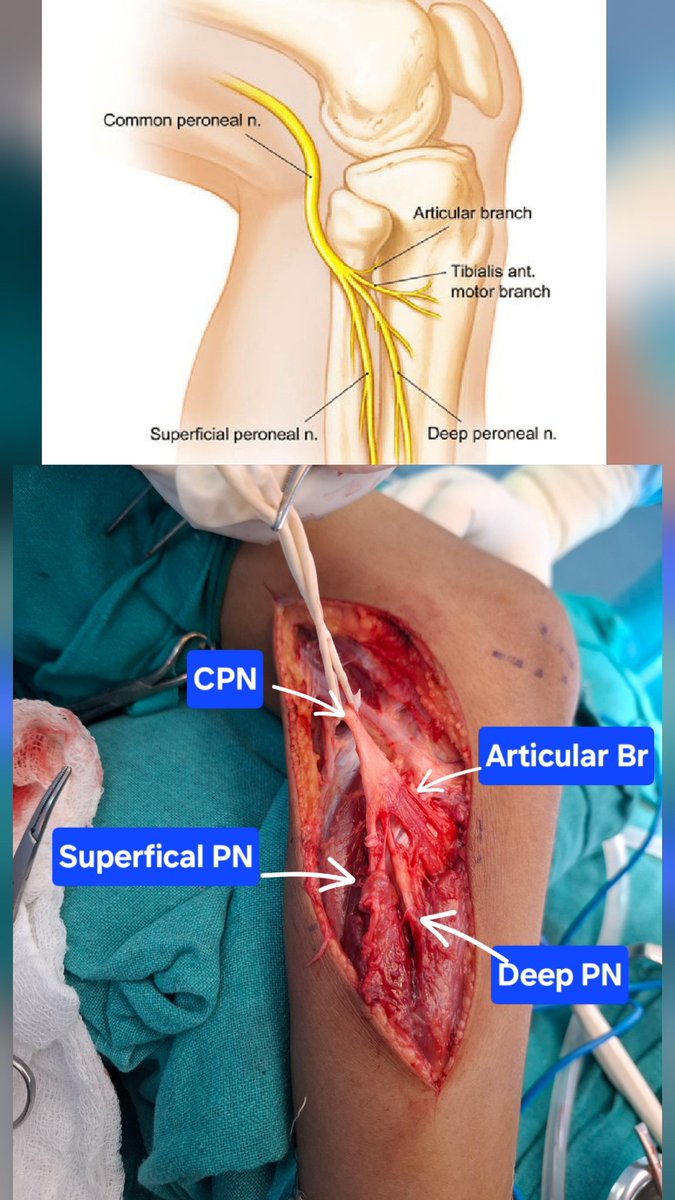 Umesh Yadav tweet media