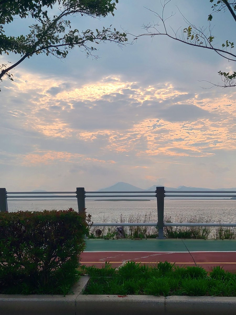 공판장에서 회 2kg 사와서 먹는 하루🍽