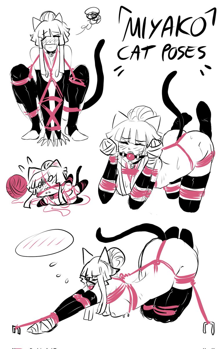 Miyako cat poses 💜🐈‍⬛