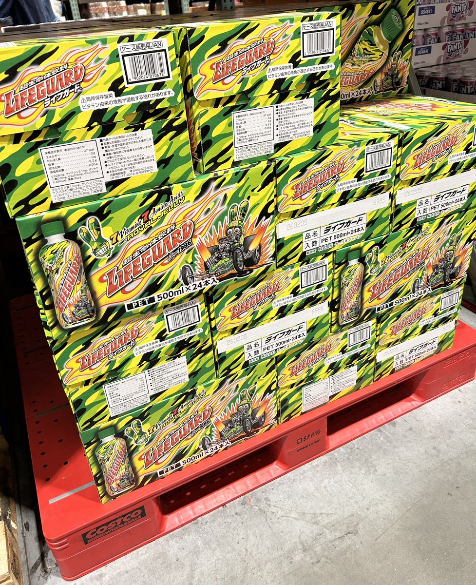 みんな大好きコストコ限定ダンボールのライフガードが販売中です