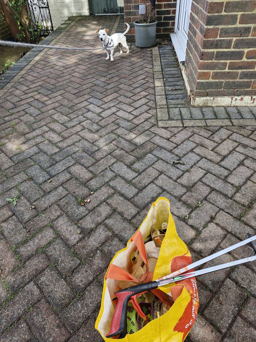 Day 651.
Nice morning stroll around the lakes with the full team Cisco, Dexter, and Jamie. Another bag picked, which equals a very happy Norris.