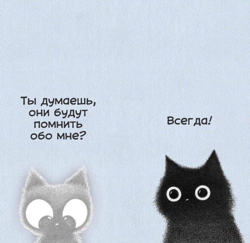 Будут и помнить, и любить, всегда ❤️