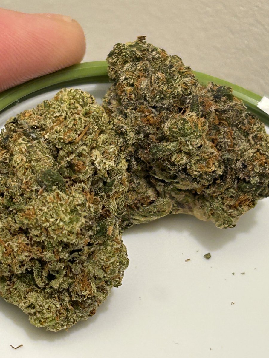 GM😶‍🌫️ can’t get enough of this purple submarine🔥for me feeling real nice. Have a great weekend stoner fam. Stay lifter stay positive and be kind. Cannabis brings people together😉