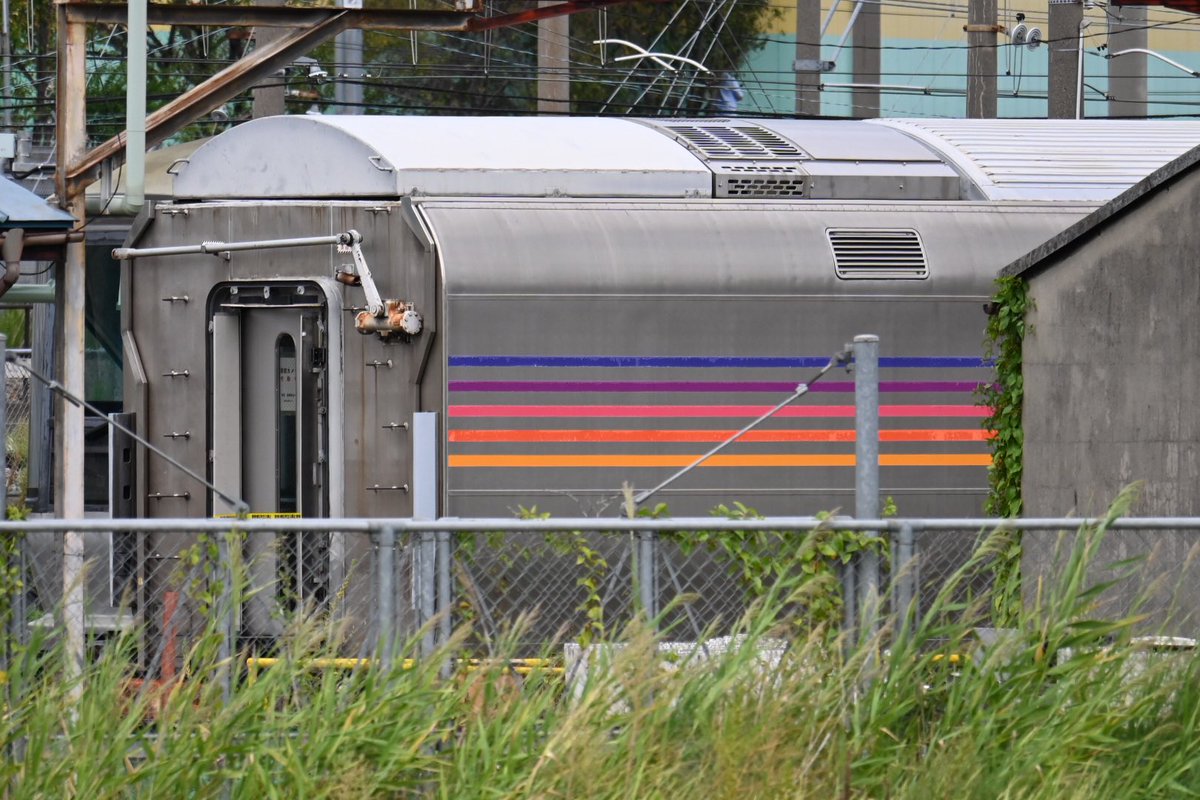万太郎様 ️ Z/X 6 (ジャンプコミックス) | 土屋 彼某, ブロッコリー |本