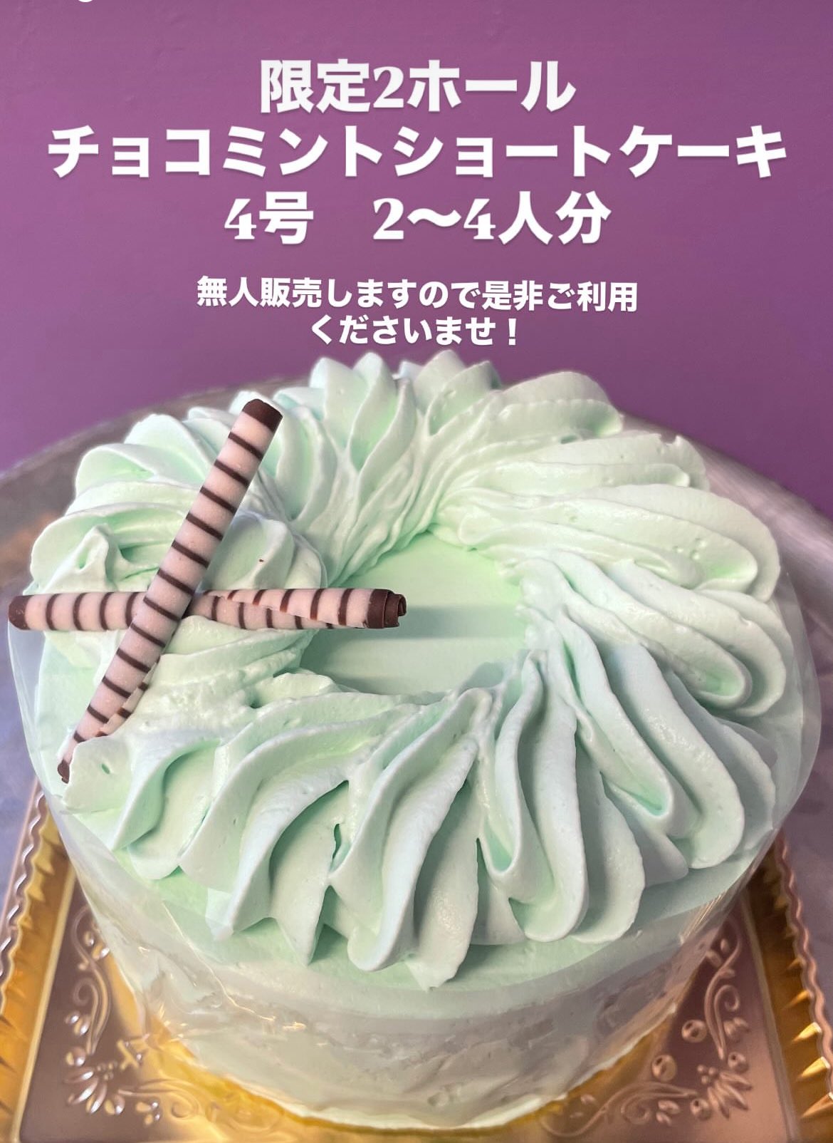 チョコミントパフェのようせいさん⋆* ぬいぐるみ MO97201 すみっコぐらし 喫茶すみっコでチョコレートフェア