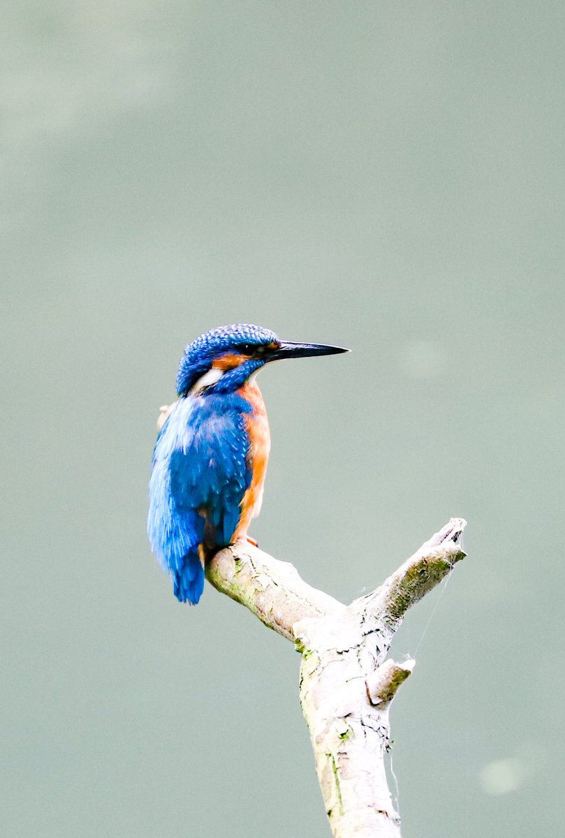 Mijn foto van de dag!