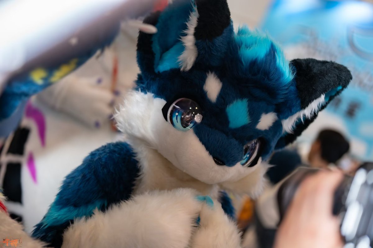 ELEN✨アタミ tweet media