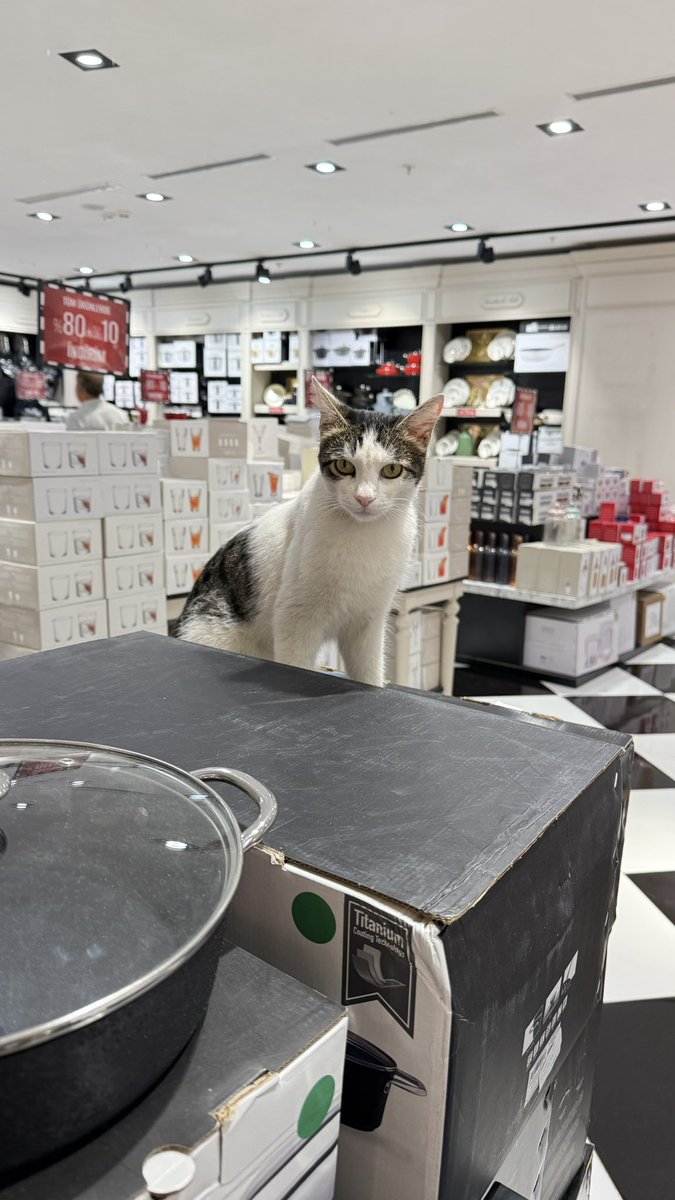 İnsan sağlığını düşündüğün için teşekkürler <a href="/MadameCocoTR/">Madame Coco</a> 
<a href="/MaltepeParkAVM/">Maltepe Park AVM</a>