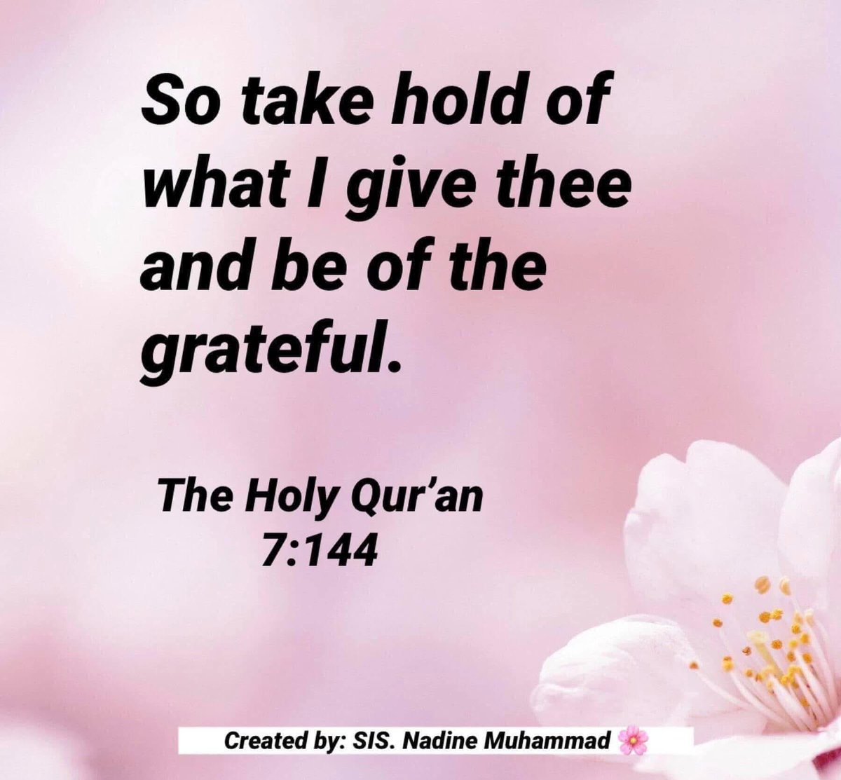 Nadine Muhammad (@nadinemuhammad) on Twitter photo 