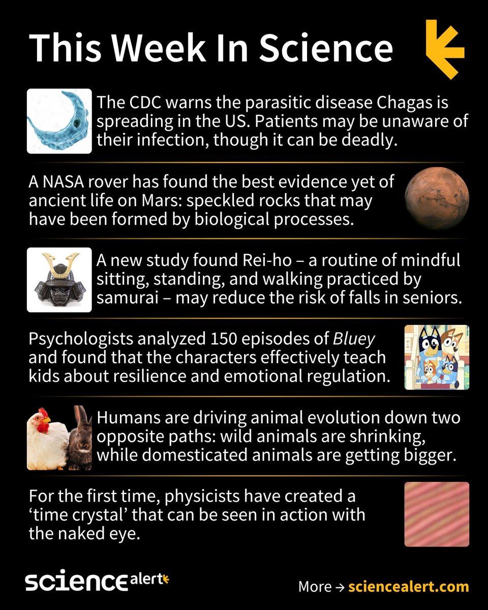ScienceAlert's tweet image. This Week In Science (September 7 – 13) 🧪

The best evidence yet of life on Mars, the benefits of Bluey, a visible time crystal, and much more!

#ScienceNews #ScienceAlert #STEM #ThisWeekInScience #TWIS