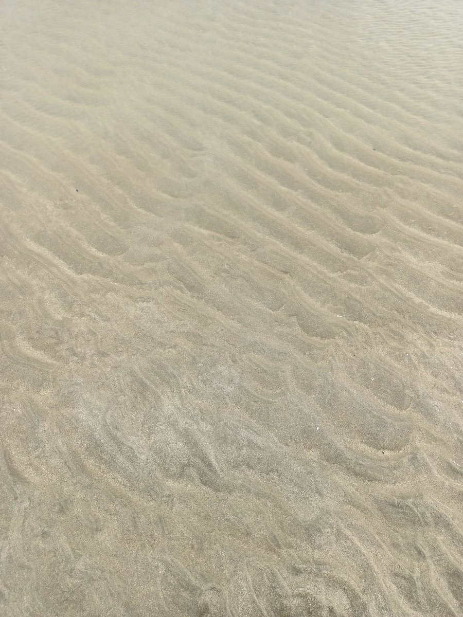 •Wallpaper
•Last song I listen to
•7th photo on my camera roll