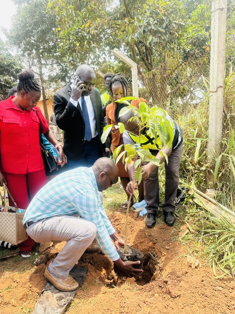 Yesterday we Planted trees 🌳 🌲 at Kitebi Primary School as part of the Kampala City Festival pre-activities, embracing the theme: Celebrating Kampala; Culture, Innovation, and Sustainability. Huge thanks to the Uganda Nursery and Organic Gardening Association for donating the