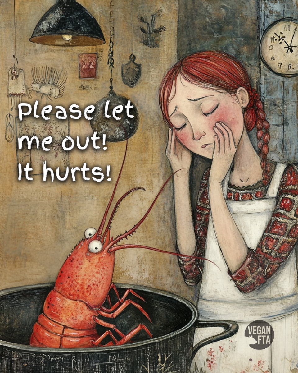 teamveganfta's tweet image. Can you imagine being boiled ALIVE? 😰💔
That is reality for millions of lobsters who are torn from the ocean, crammed into tanks, then boiled or sliced alive. 😣
This is completely unnecessary. Please don't support this cruel practice. 🙏🦞
👉 Sign the Petition to Tell Kroger…