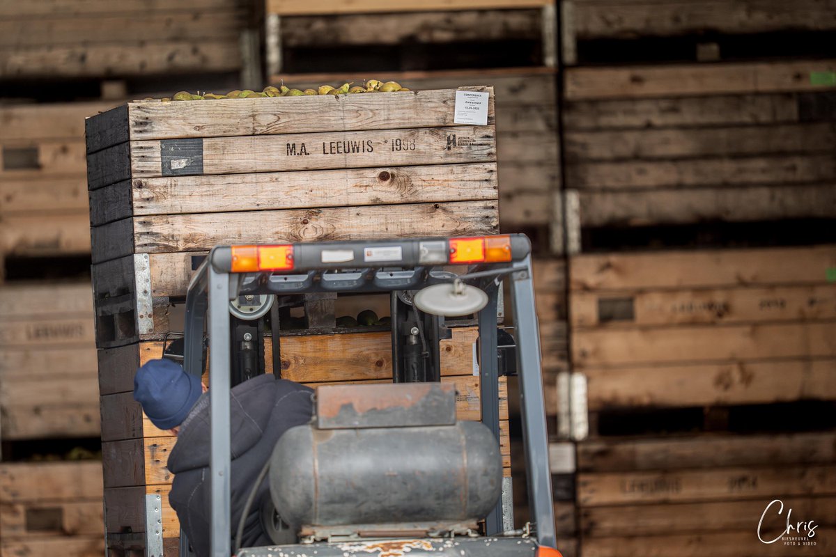 Het zit er alweer bijna op, de laatste verse peren worden de koelcel ingereden bij <a href="/LeeuwisMarcel/">Marcel</a> 
#peer #hollandsfruit