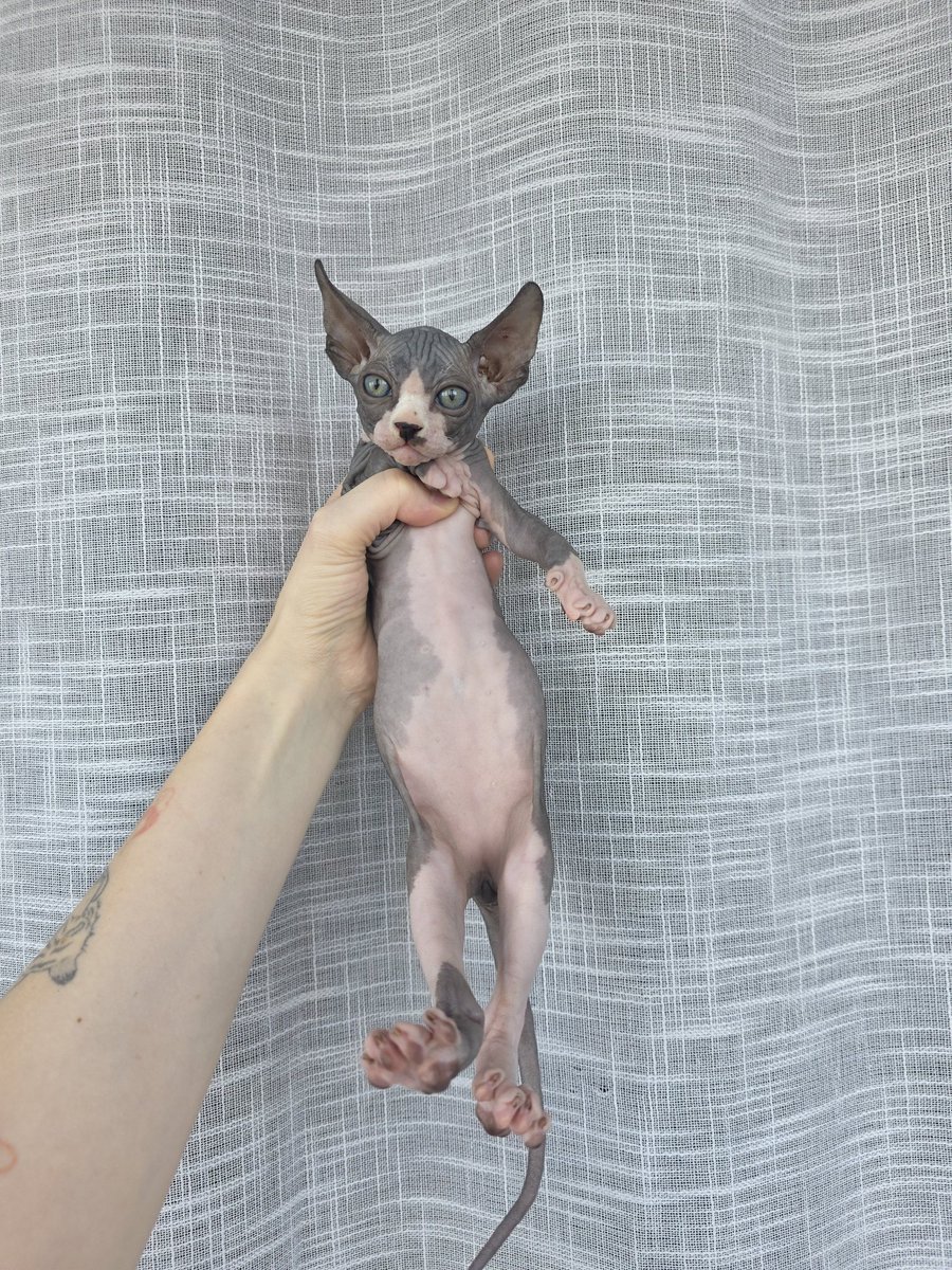 Прикиньте, это один и тот же чувак)