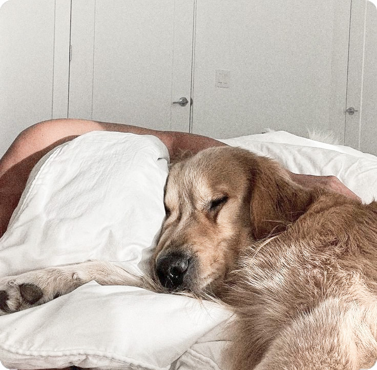 Mis días siempre comienzan bien mientras despierte con mi princesa al lado y nuestro pequeño Meru. Que lindo es verlos dormir tan a gusto a mi lado.🩷