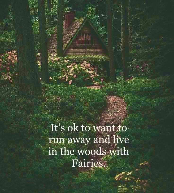 BklineBetty's tweet photo. Especially now… https://t.co/l8l00R1QKc