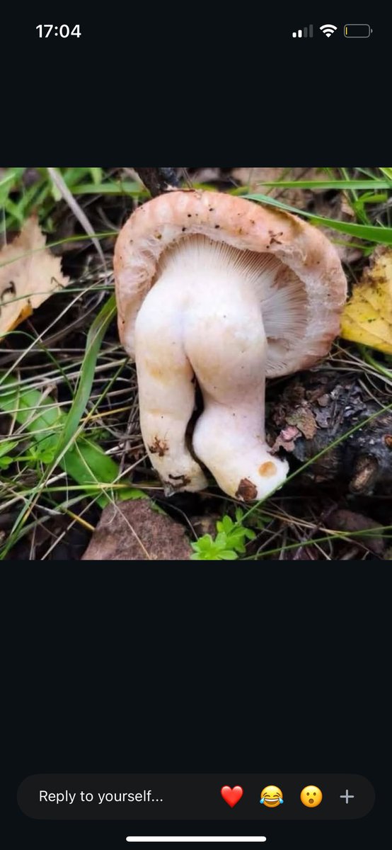 Bol zevkli hafasonlarimiz olsun😈