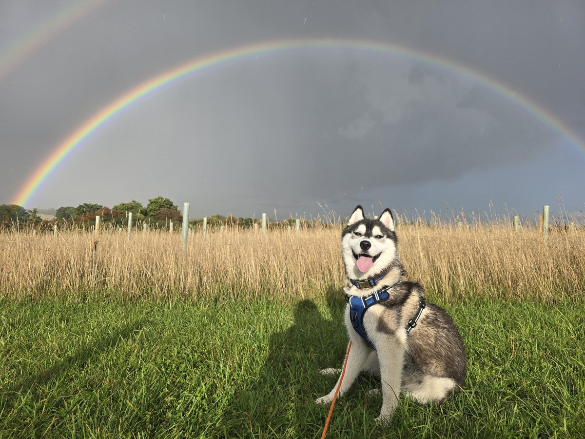 Me and the Roscoe are appreciating the cooler wetter weather! 🥰