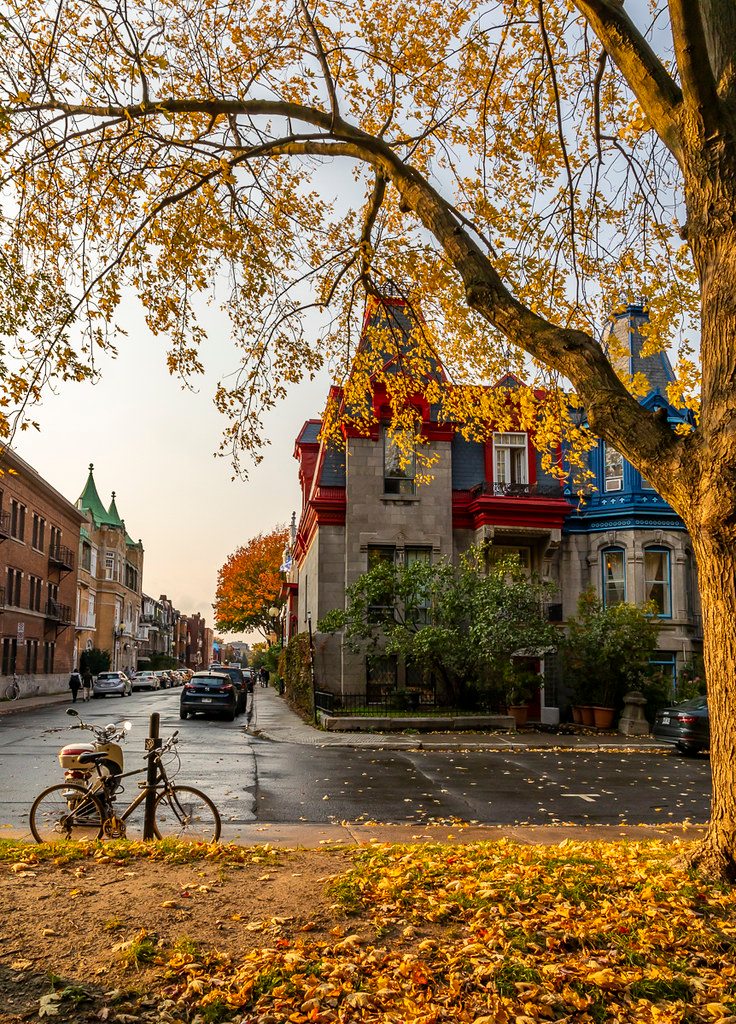 Romance automnale 🧡🍂

📷<a href="/evablue/">Eva Blue</a> #Montréal #MTLmoments #PhotoduJour