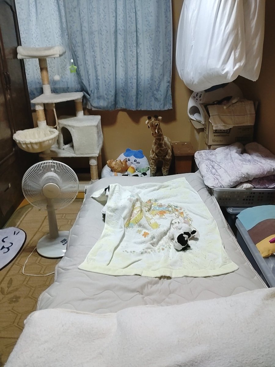 世間は連休のようなので…　
【凜ちゃんを探せ！Part④】

凜ちゃんを探してね！😆
正解者には
チビッコ凜ちゃんを
送りつけますよ😻🤭🤭