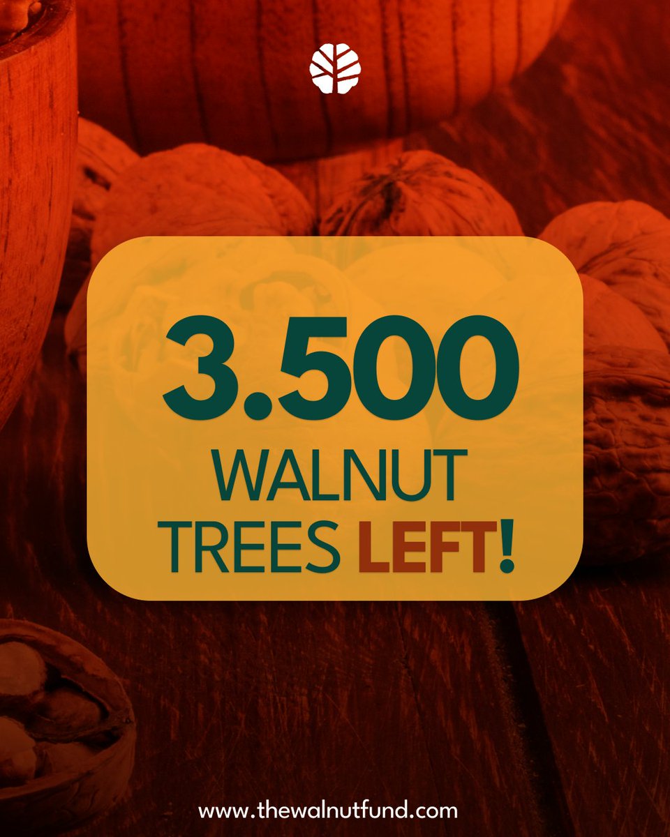 FundWalnut's tweet photo. Final call, only 3,500 walnut trees left.🌳

After this, there will be no more investment opportunities in walnut trees through our current Panonija plantation.

This is your last chance to secure long-term passive income rooted in nature.

Don’t just watch it grow, be part of it https://t.co/YLI7tzSGgu