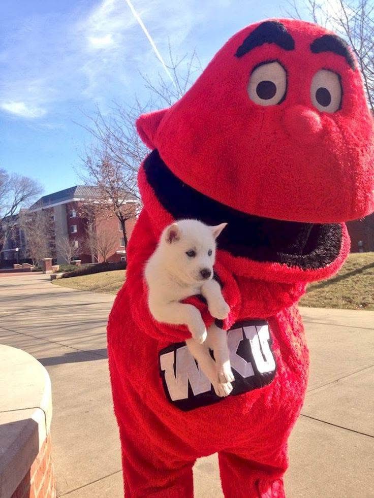 Redlegs Report- Jason tweet media