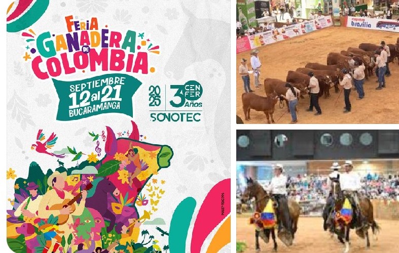 #Evento📰En <a href="/CenferSA/">CENFER Bucaramanga</a> la  #FeriaBonitaDeColombia está #TanVacanaComoTú. Disfrute diariamente, hasta el 21 de Sept., su atractiva y variada programación🎶🎉🪗🎸🪇🍻🌴💃🐂🐑🐃🦬🐕
<a href="/AntioquenoFLA/">Aguardiente Antioqueño</a>