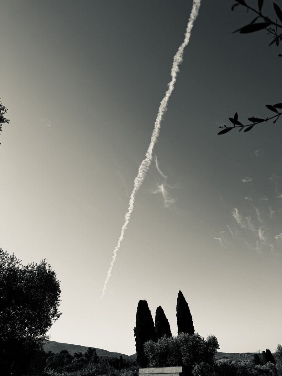 sunflower (@chr90688) on Twitter photo 