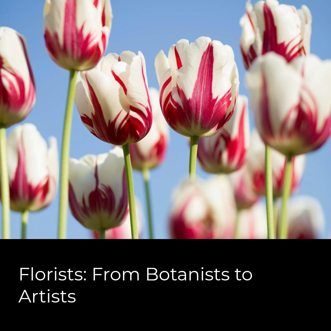 In the 16th century, "florist" meant flower cultivator, not just arranger. At DGM Flowers, we honor this history by blending science with beauty in every bouquet. 🌸 #FloristFacts fortlauderdaleflorist.com