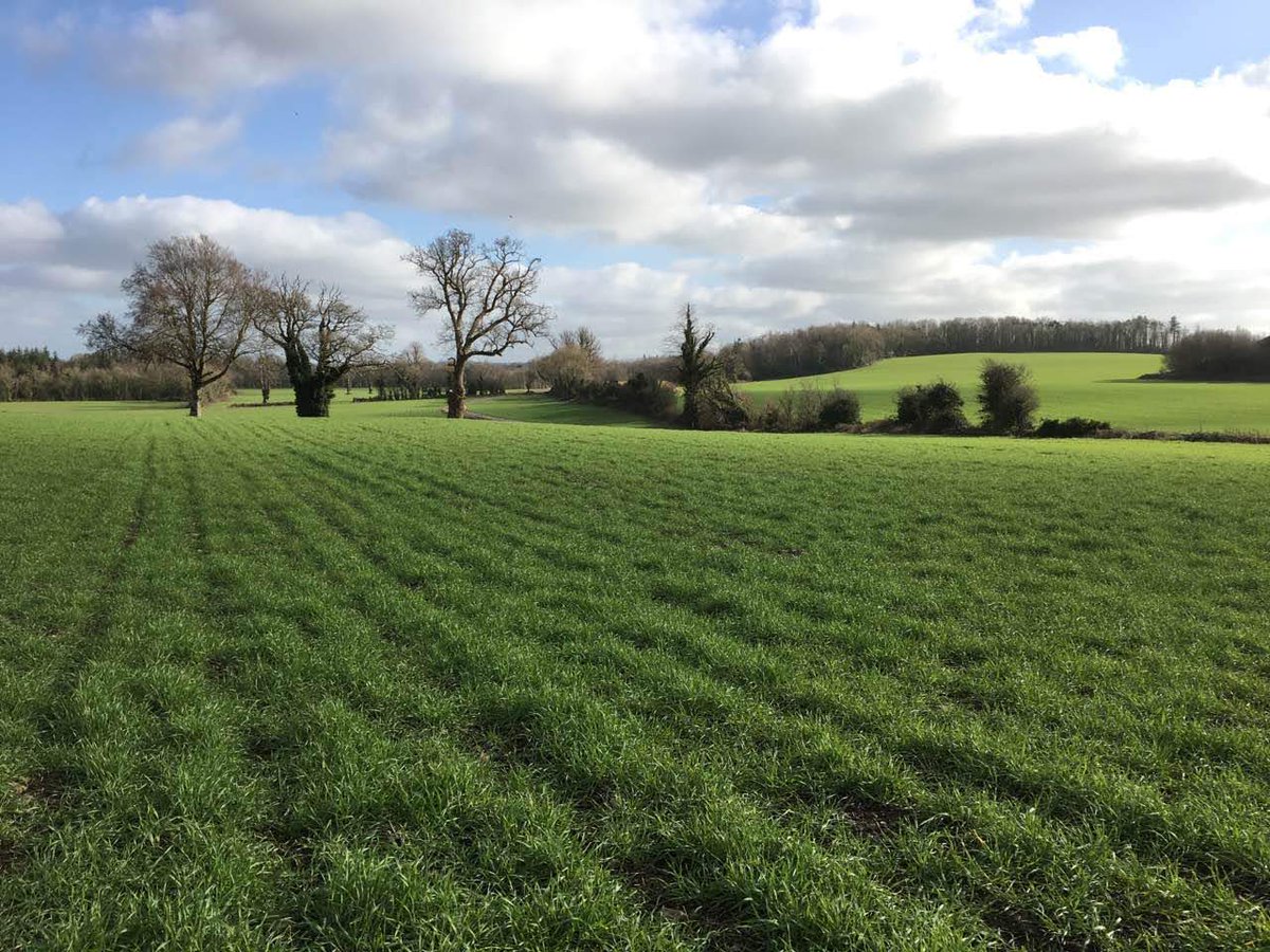 Rob Coleman tweet media