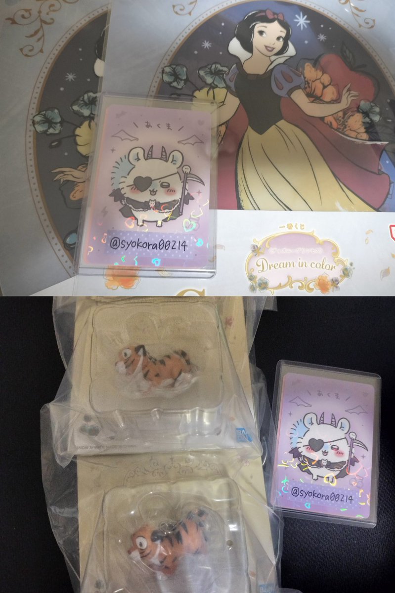 ショコラ@ディズニー、ちいかわ＞ポケモン tweet media