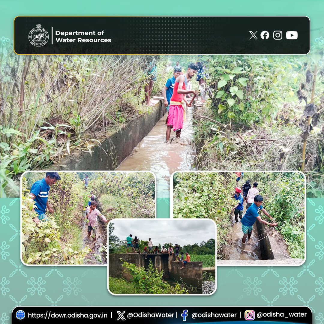 OdishaWater's tweet photo. 👥 Local water users took the lead in cleaning the canal at Sirliguda MIP, Koksara block of #KalahandiDistrict! #OdishaWater #OIIPCRA #CommunityParticipation #WaterForCrops
@CMO_Odisha @DC_Odisha @_anugarg @IPR_Odisha @OIIPCRA_OCTDMS @OLICLTD @ltd_occ @CE_Megalift @GWDOdisha https://t.co/ZpTbrI0304