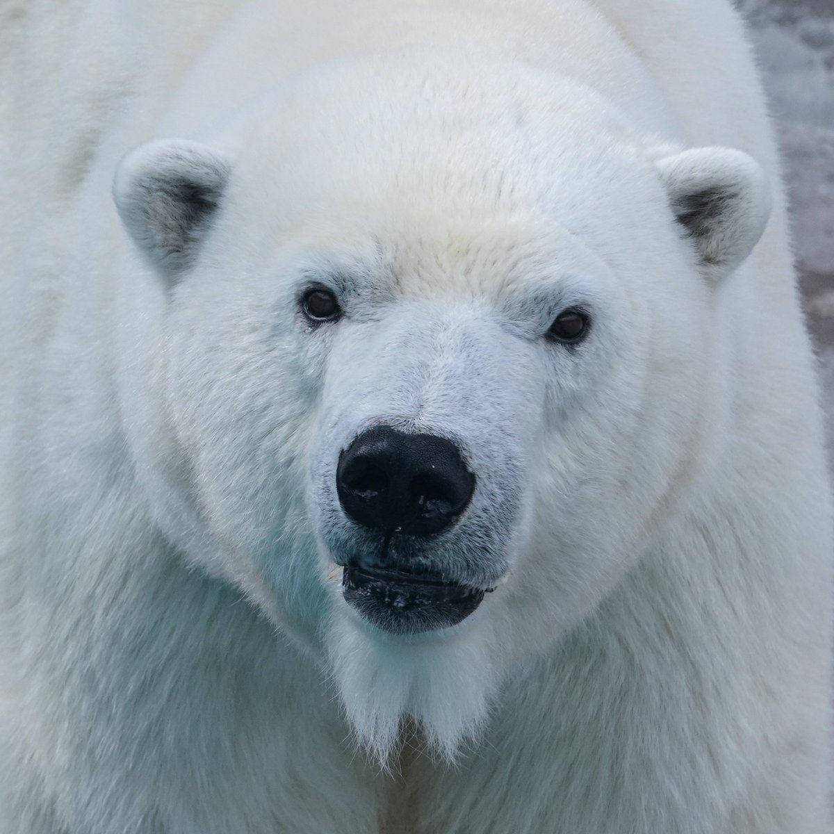 お久しぶりでございます。
またもや少し間が開いてしまいました💦

み「また😎はサボってたのね～👀」