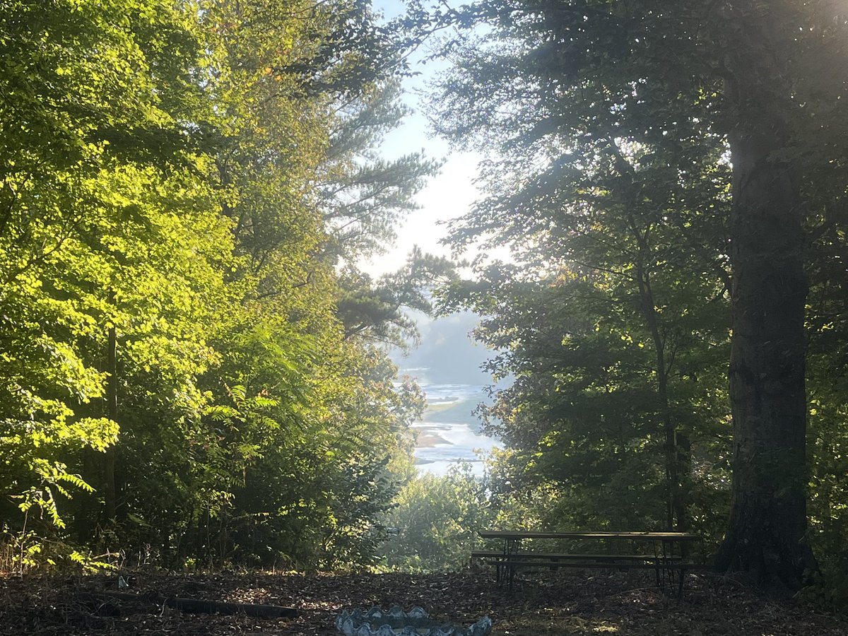 emct1968's tweet photo. Morning ☀️ https://t.co/jF7EV3aJHT