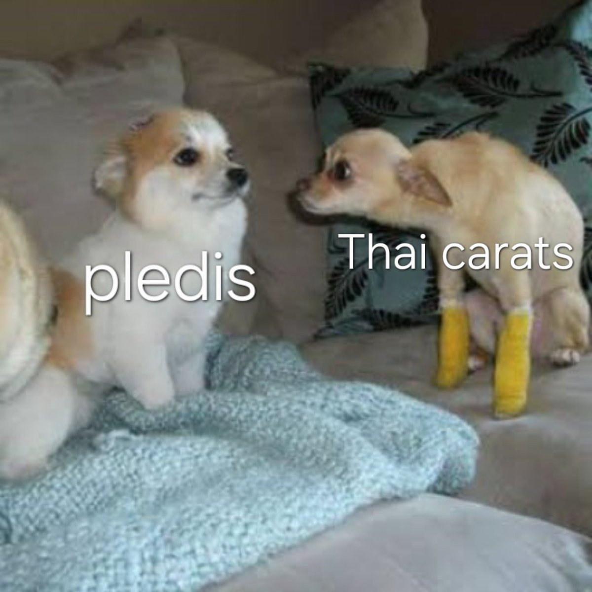 ทัวร์นี้9คนแต่เอเนอจี้ไม่น้อยเลย เปิดตัวโคตรเท่ห์ soloแต่ละคนดีมาก เพิฟดีไม่มีตก ไฮป์กันโคตรมัน ร้องสดไมค์ชัดจนได้ยินเสียงหายใจ เสื้อผ้าเหมือนไม่ได้นัดกันมาแต่หน้าผมดี โปรดักชั่นเริ่ด จอสูงเท่าตึกใบหยก setlist ประทับใจ ไม่ติดไรเลย ติดแต่มึงนี่แหละ @.pledis_17 ประกาศ in bkk สักที