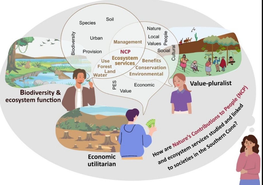 ¿Cúales han sido las tendencias en el estudio de las #ContribucionesDeLaNaturaleza a la gente EN EL Cono Sur: enterate en el nuevo estudio de nuestra Red @CONATURAR :
sciencedirect.com/science/articl…
<a href="/IMBIVCONICETUNC/">IMBIV-CONICET-UNC</a> <a href="/CONICETDialoga/">CONICET Dialoga</a> <a href="/ipbeses/">IPBES en español</a>