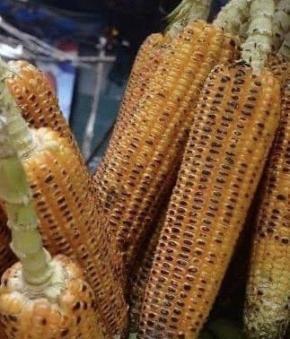 DrAhmedKalebi's tweet image. 𝗔 𝗙𝘂𝗹𝗹 𝗖𝗶𝗿𝗰𝗹𝗲 𝗠𝗼𝗺𝗲𝗻𝘁 𝘄𝗶𝘁𝗵 𝗠𝘆 𝗠𝗮𝗵𝗶𝗻𝗱𝗶 𝗖𝗵𝗼𝗺𝗮 𝗚𝘂𝘆 
🌽 

Earlier today I got a call from the gentleman I regularly buy roasted maize from on my evening commute. He was at Mbagathi District Hospital and needed some specialized tests not available…