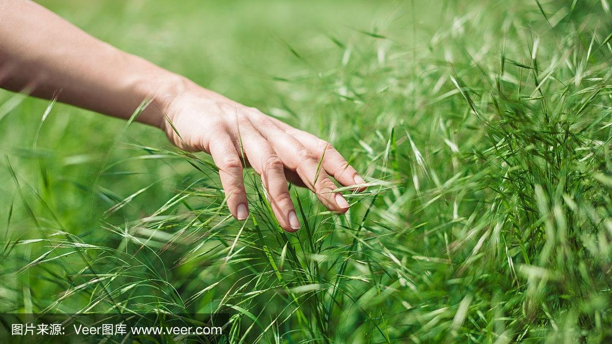 zcbbb6789's tweet photo. @opensea #openseatouchgrass  #sea $TGE https://t.co/CGHK8mzdA3