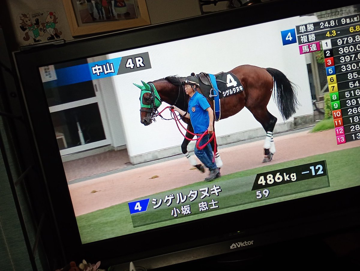 GuardLeader1945's tweet photo. 8着で無事にゴール。
前走から1年と3カ月。シゲルタヌキさん、久々に見れてよかったです☺️ https://t.co/NMUMSgCfAY