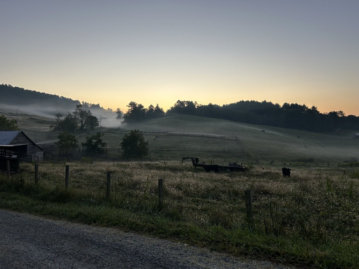Brisk and beautiful morning! Fall is definitely in the air!🍁🐾🍂#HappySaturday