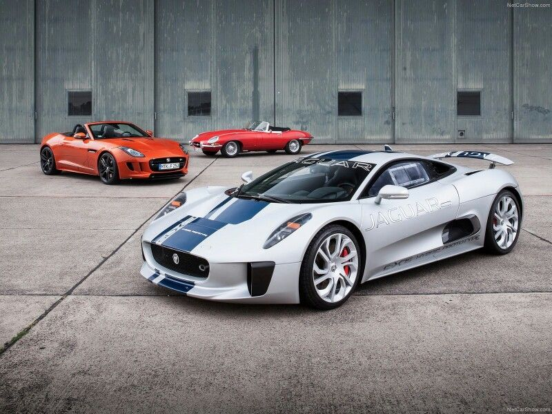 GordonMercedes9's tweet image. #Caturday    #Perspectives