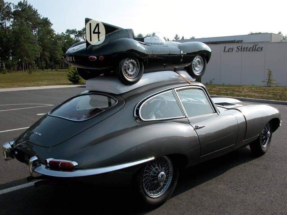 GordonMercedes9's tweet image. #Caturday    #Perspectives